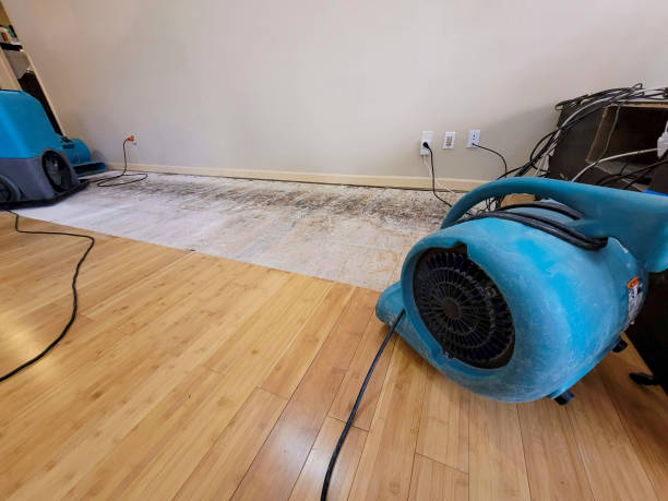 Professional Flood Damage Cleanup technician working in Weaverville, CA